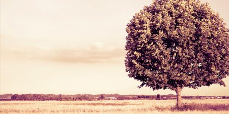 Anlatabilsem Eksiksiz Anlatırdım