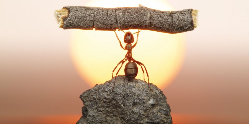 Bilim ve Günlük Yaşam II