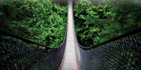 Bir Şey Yap Devrimin Olsun