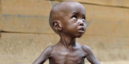 Büyük Kedilerin Günlüğü*