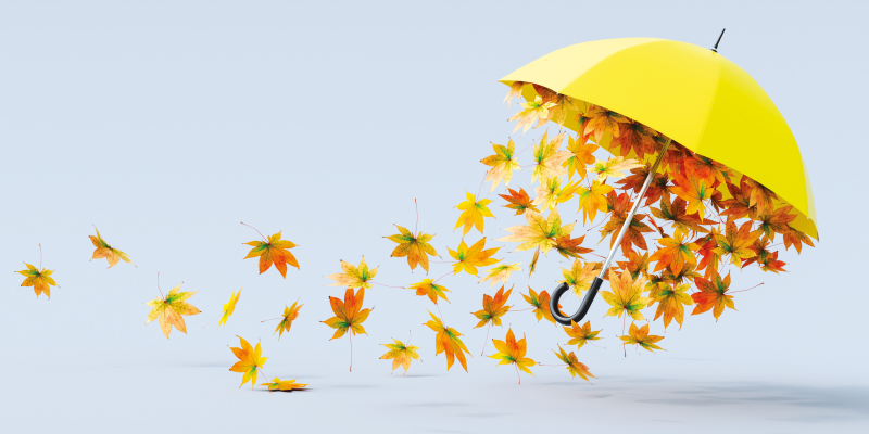 İşte Öyle Bir Şey