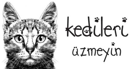 Kedileri Üzmeyelim