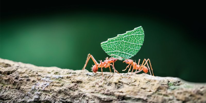 Paylaşmanın Felsefesi