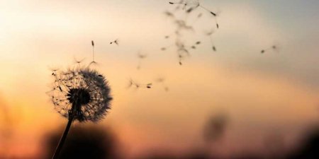 Soluğumuz da Acı Bir Hakikat