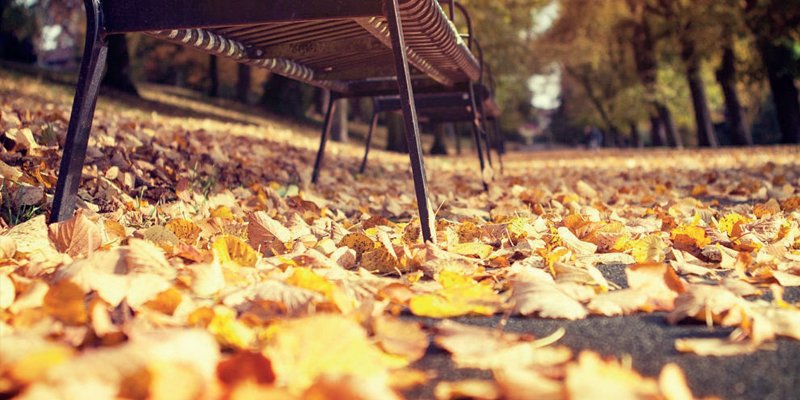 Sonbahar Denince Gidesim Gelir Bir Yerlerden