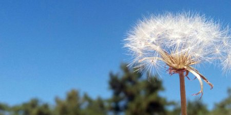 Sümeyye Nur Özdemir