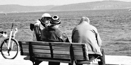 Turist Gelir de Ağaç Kalır mı Bilmem