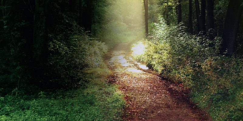 Uzun Yollar ve İyi Geceler