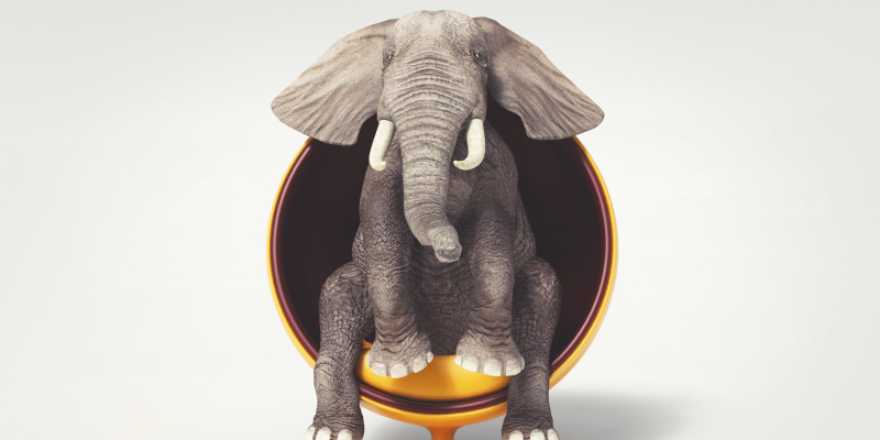 Yaratılışın Önemli Bir Hikmeti ‘’ Yüzey Alanı/Hacim Oranı ‘’